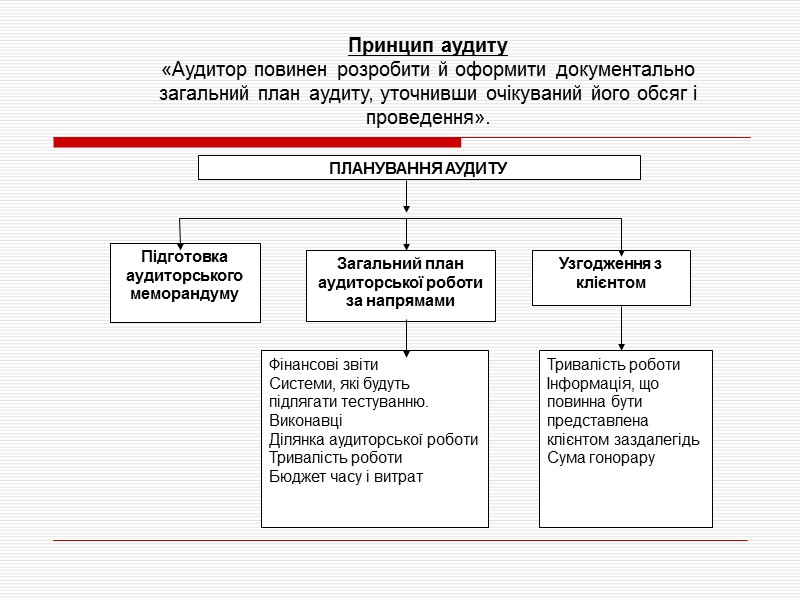 Принцип аудиту «Аудитор повинен розробити й оформити документально загальний план аудиту, уточнивши очікуваний його